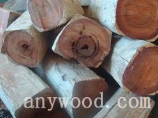 批木网 anywood.com