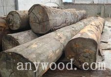 批木网 anywood.com
