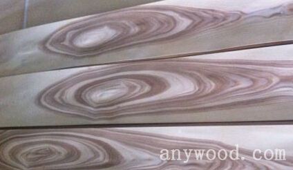 批木网 anywood.com