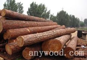 批木网 anywood.com