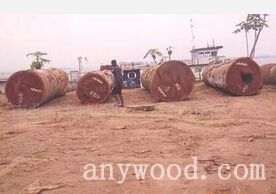 批木网 anywood.com