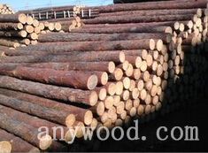 批木网 anywood.com