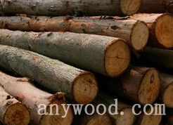 批木网 anywood.com