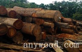 批木网 anywood.com