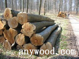 批木网 anywood.com