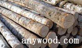 批木网 anywood.com