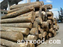 批木网 anywood.com