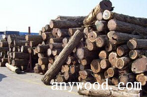 批木网 anywood.com