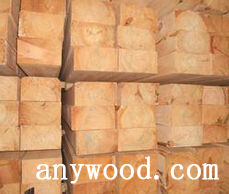 批木网 anywood.com