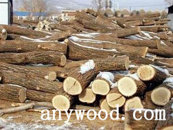 批木网 anywood.com