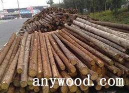 批木网 anywood.com