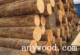 批木网 anywood.com