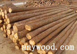 批木网 anywood.com
