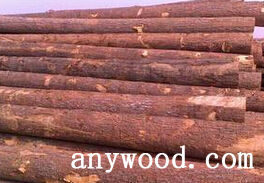 批木网 anywood.com