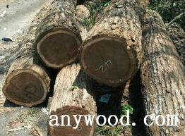 批木网 anywood.com