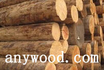 批木网 anywood.com