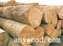 批木网 anywood.com