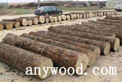 批木网 anywood.com