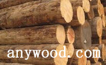 批木网 anywood.com