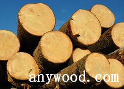 批木网 anywood.com