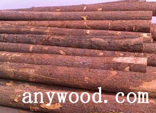 批木网 anywood.com