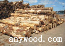 批木网 anywood.com