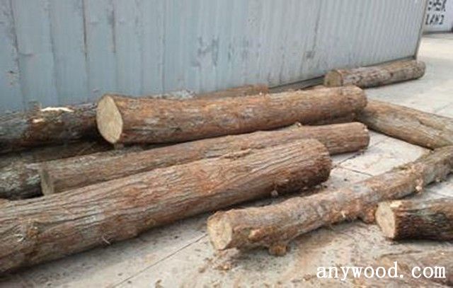 批木网 anywood.com