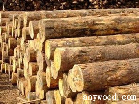 批木网 anywood.com