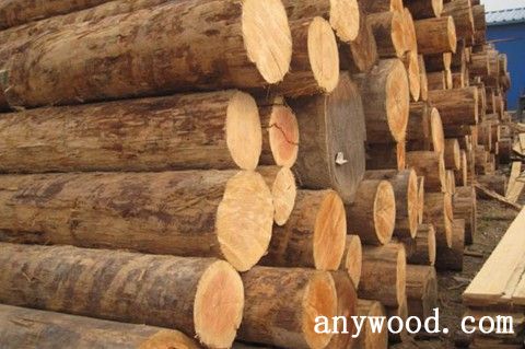 批木网 anywood.com