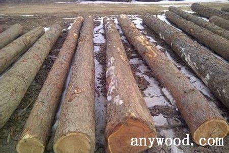 批木网 anywood.com