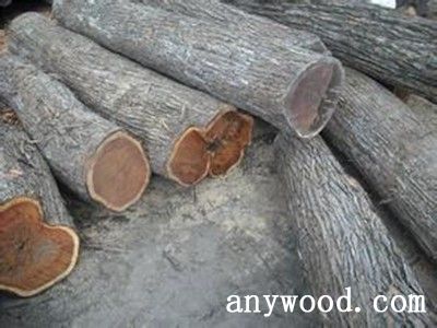 批木网 anywood.com