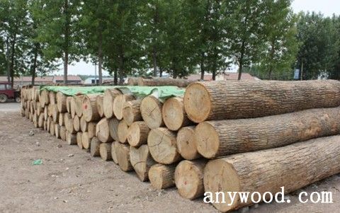 批木网 anywood.com