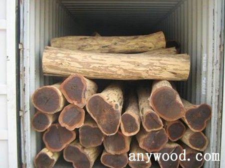 批木网 anywood.com