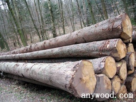 批木网 anywood.com