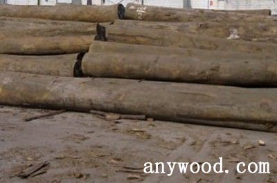 批木网 anywood.com