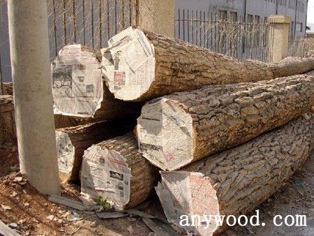 批木网 anywood.com