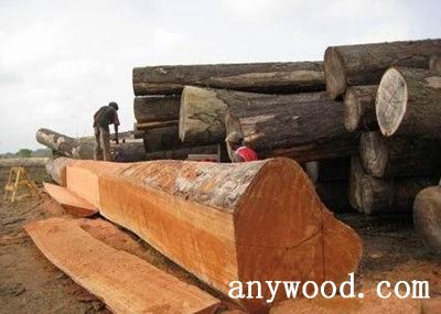 批木网 anywood.com