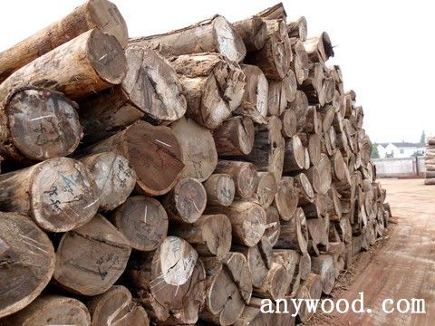 批木网 anywood.com