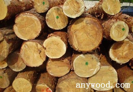 批木网 anywood.com