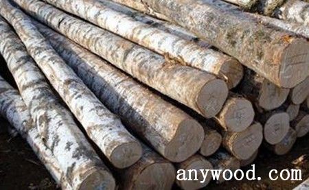 批木网 anywood.com