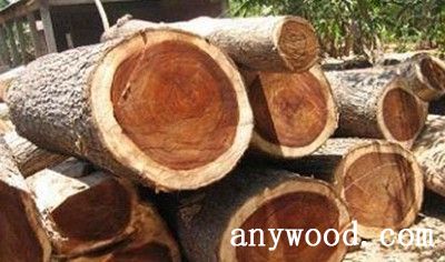 批木网 anywood.com