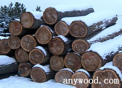 批木网 anywood.com