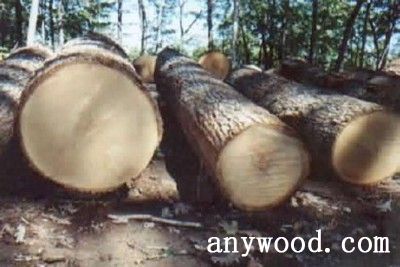 批木网 anywood.com