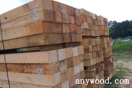 批木网 anywood.com