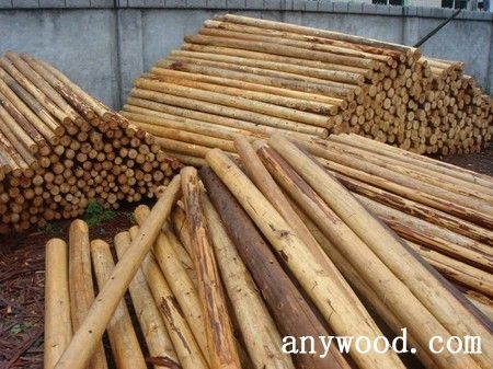 批木网 anywood.com