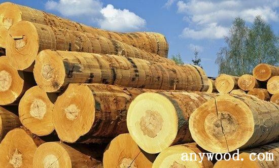 批木网anywood.com