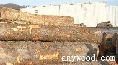 批木网 anywood.com