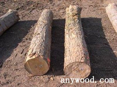 批木网 anywood.com