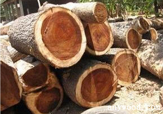 批木网 anywood.com