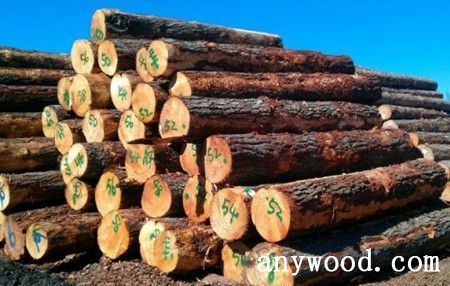 批木网 anywood.com